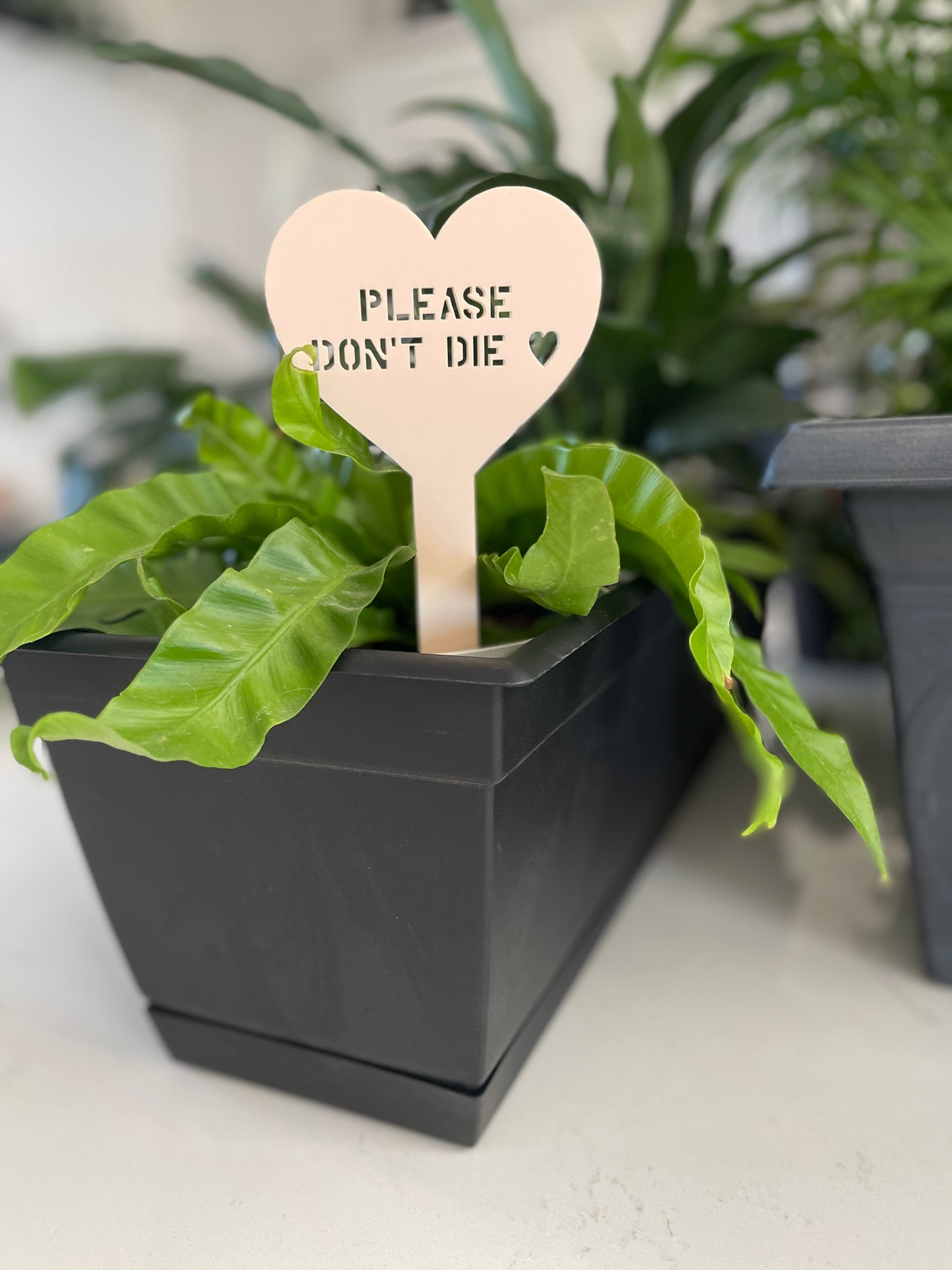 Sweetheart Plant Stakes - Garden Decor