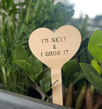 Load image into Gallery viewer, Sweetheart Plant Stakes - Garden Decor
